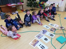 vyukovy program np sumava 13